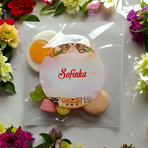 Darčeky pre svadobčanov - Detské cukríky Zvieratká 2 - 17552260_