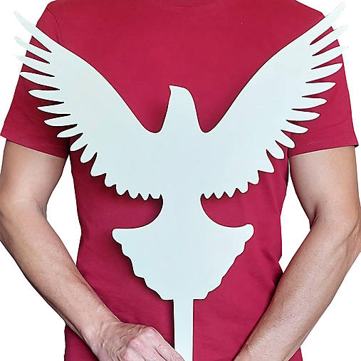 Výzdoba do kostola pred oltár holubica 40cm ZÁPICH