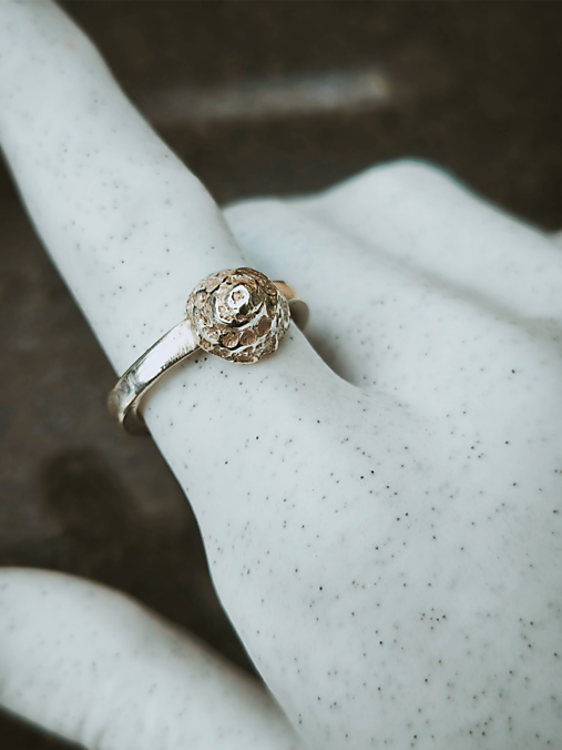 Strieborný prsteň mušľa 