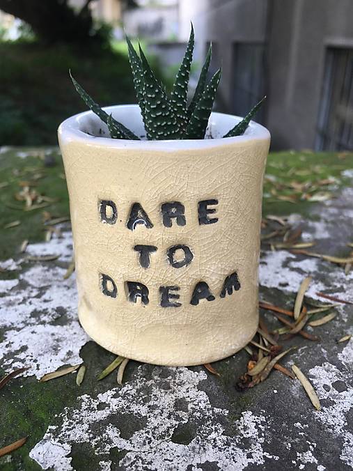 Nádoby - Malé keramické kvetináče s nápismi a sukulentom Haworthia (Dare to dream) - 17569368_
