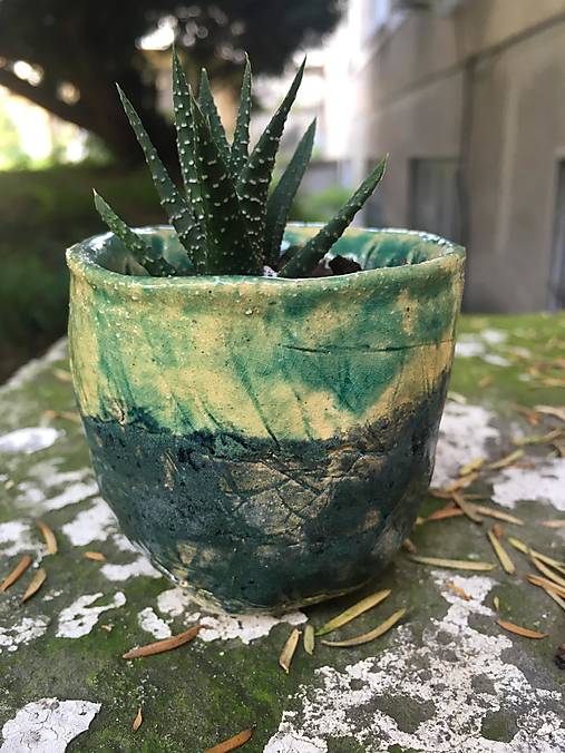 Nádoby - Malé keramické kvetináče s nápismi a sukulentom Haworthia (Modro-zelený, bez nápisu) - 17569376_