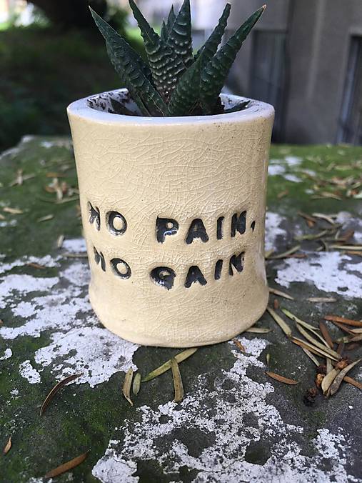 Nádoby - Malé keramické kvetináče s nápismi a sukulentom Haworthia (No pain, no gain) - 17569380_