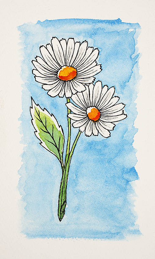 Obrazy - Kvety II. 12x20 cm. - 17574150_