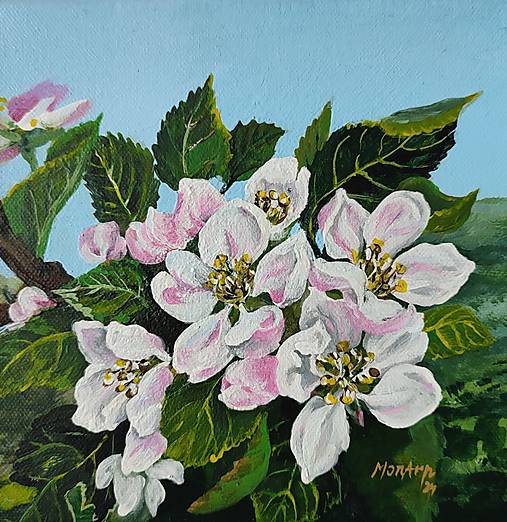 Obrazy - Obraz: Kvety jablone - 17576153_