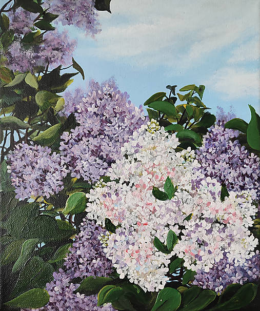 Obrazy - Obraz: Orgován - 17576240_