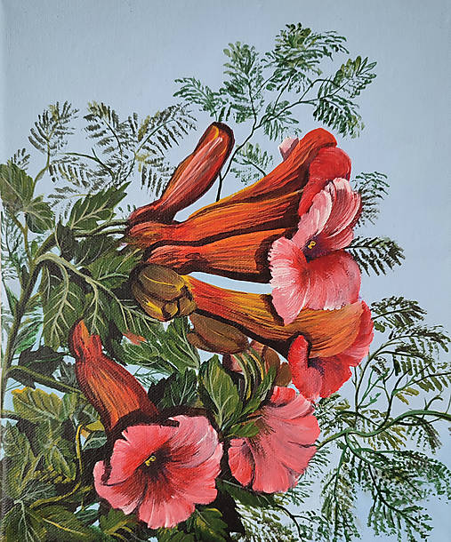 Obrazy - Obraz: Trúbkovec  - 17576253_