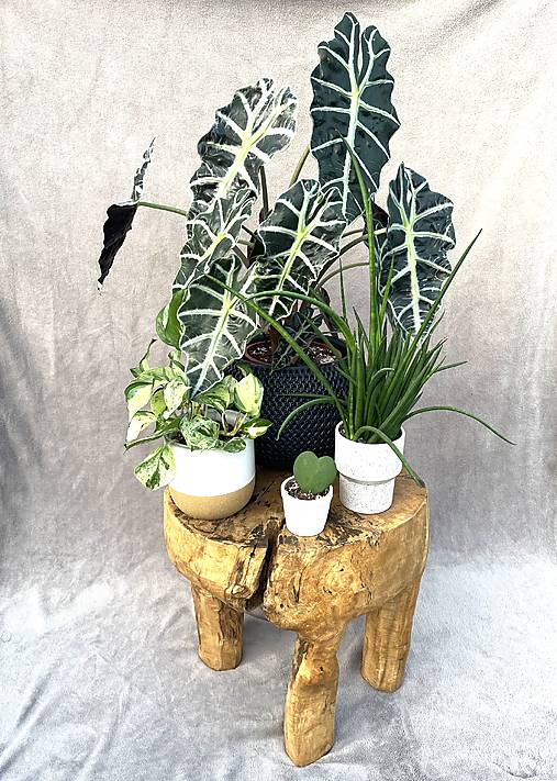 Nábytok - Stolík z masívu - 17575643_