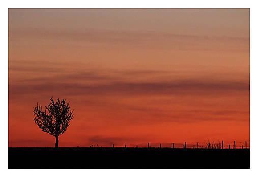 Fotografie - Večer v sade - 17578189_