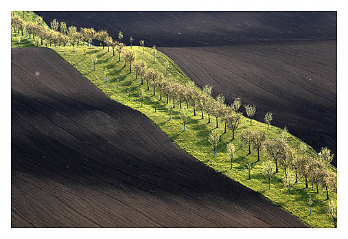 Fotografie - Šardické biopásy VI - 17578202_