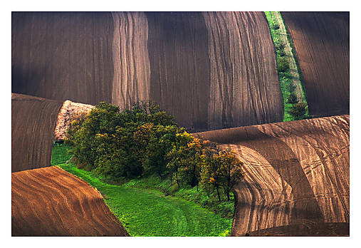 Fotografie - Šardický remízek II - 17580414_