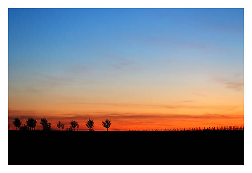 Fotografie - Večer v sade II - 17582178_