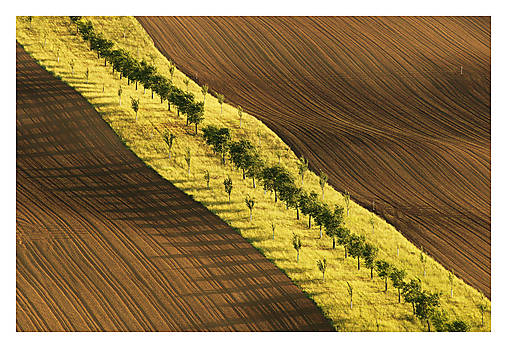 Fotografie - Šardické biopásy VII - 17582201_