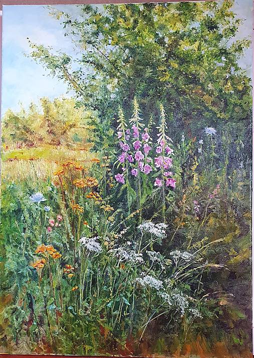 Obrazy - lúka na kraji lesa /olej/ - 17584248_