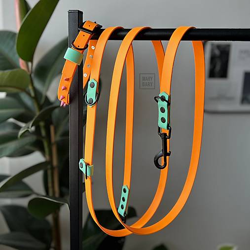 Pre zvieratá - Vodeodolný obojok a prepínacie vodítko pre psa BioThane CUTE ROCKER - oranžový / mint - 17583585_