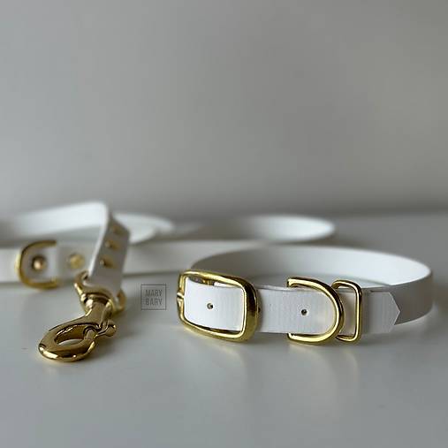 Pre zvieratá - Vodeodolný obojok a vodítko pre psa BioThane - biela so zlatou (Obojok 25-35cm) - 17583623_