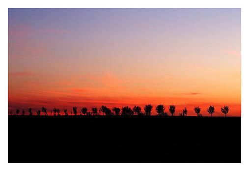 Fotografie - Večer v sade III - 17584047_