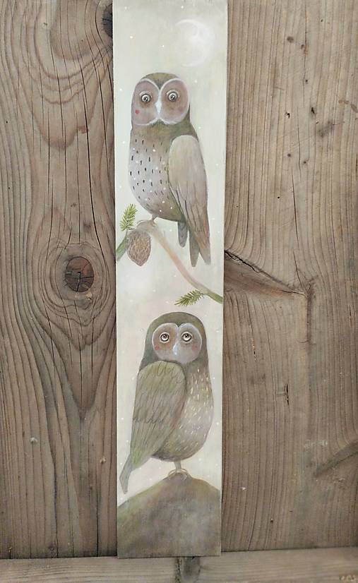 Obrazy - Jedna sova, druhá sova. - 17586876_