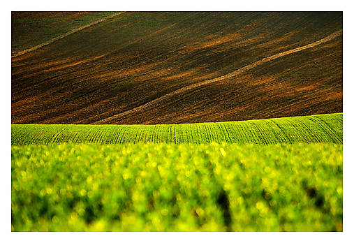 Fotografie - Pole IV - 17586171_