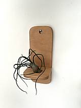 Dekorácie - Držiak na tilandsiu na stenu - 17588664_
