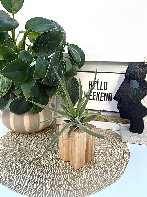 Dekorácie - Stojan na tilandsiu - 17588886_