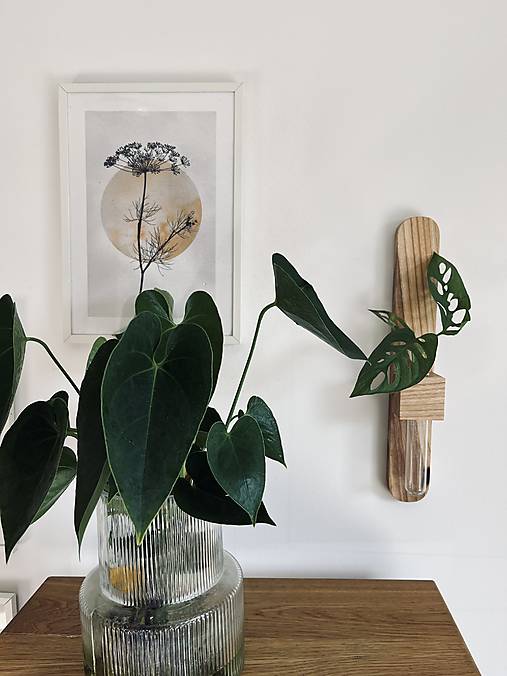 Nábytok - Zakoreňovač na rastliny na stenu - 17592071_