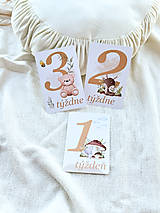Papiernictvo - LESNÉ ZVIERATKÁ - kartičky pre chlapčeka - 17ks - 17604332_