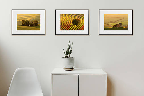 Fotografie - Kolekcia 01 - 17607484_