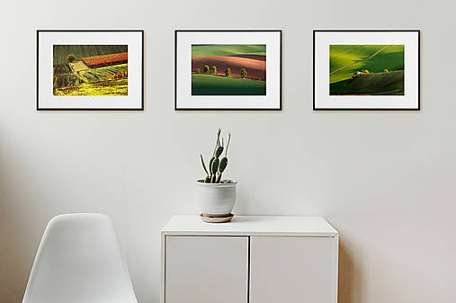 Fotografie - Kolekcia 02 - 17607488_