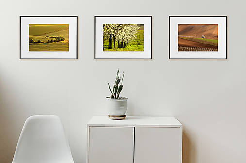 Fotografie - Kolekcia 03 - 17607492_