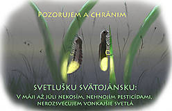 Topy, tričká, tielka - Svetlušky svätojánske - tričko - 17610392_