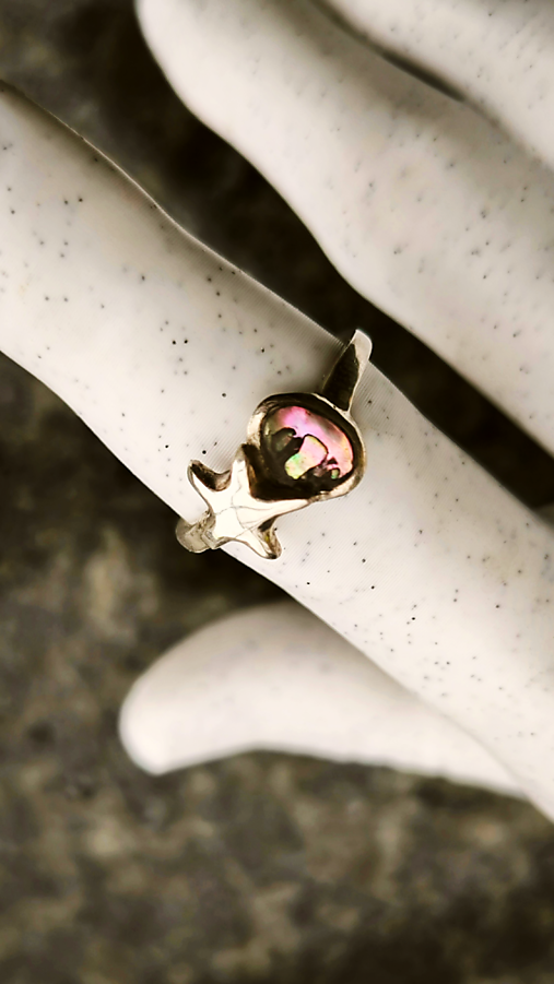 Prsteň morská hviezda 