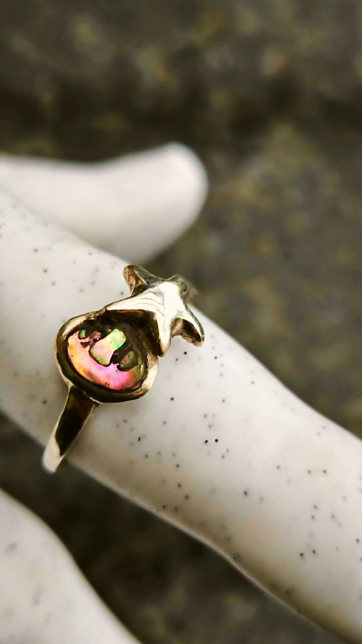 Prsteň morská hviezda 