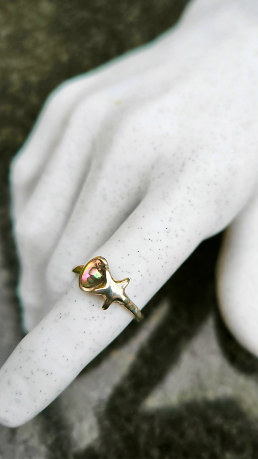 Prsteň morská hviezda 