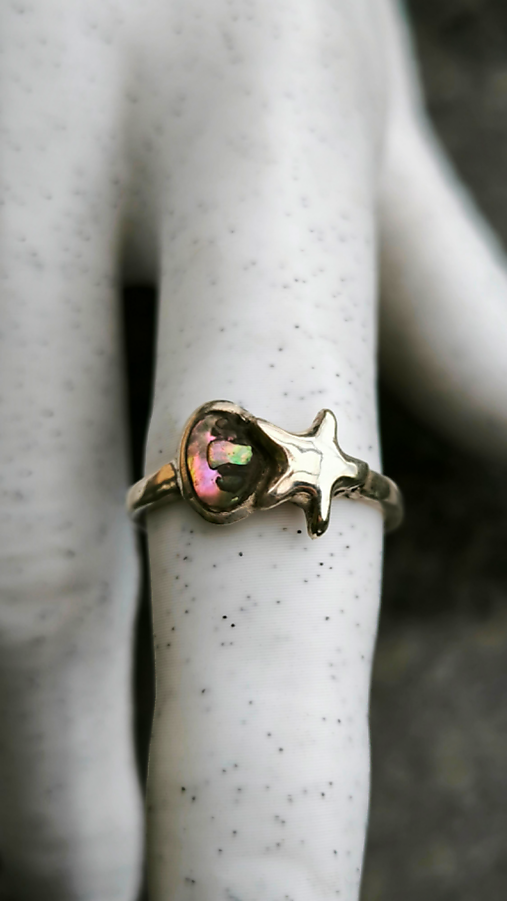 Prsteň morská hviezda 