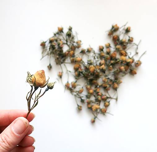 Suroviny - Sušené ružičkové puky, mix 10ks - 17619305_