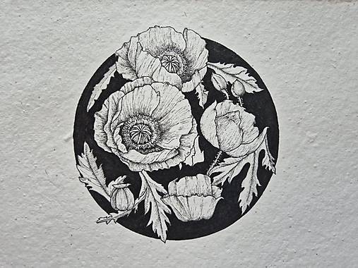 Kresby - Maky - 17624277_