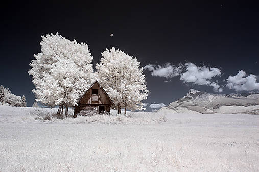 Fotografie - senník pod Kriváňom IR - 17627519_