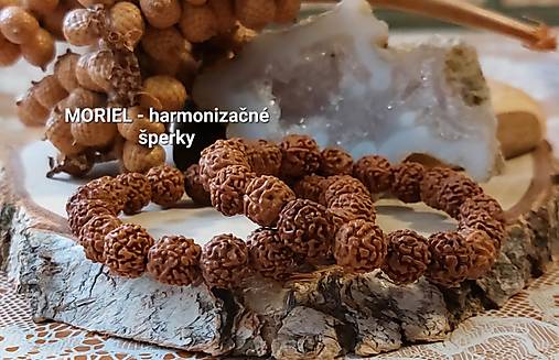 Náramky - NÁRAMOK RUDRAKSHA - TALIZMAN  - 17635744_