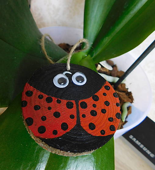 Dekorácie -  lienka na zavesenie drevená maľovaná  - 17645669_