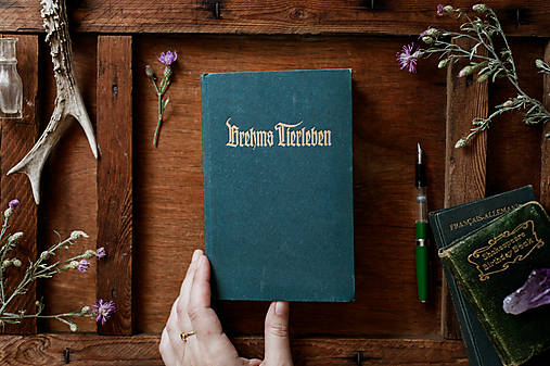 Papiernictvo - Brehms Tierleben - upcyklovaný skicár na kreslenie - 17646016_