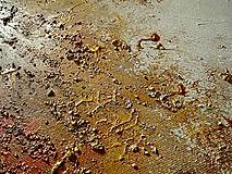 Obrazy - Zlaté polia a lúky 160x80 - 17649096_