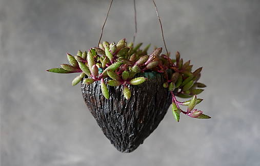 Nádoby - Závesný kvetináčik s tyrkysovým okrajom - 17650877_