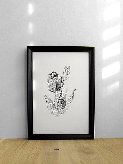 Grafika - Tulipán - 17658397_
