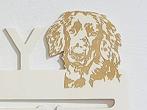 Drevený držiak na medaily s laserovaným textom 45cm psík Briard