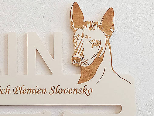 Drevený držiak na medaily s laserovaným textom 45cm psík Briard