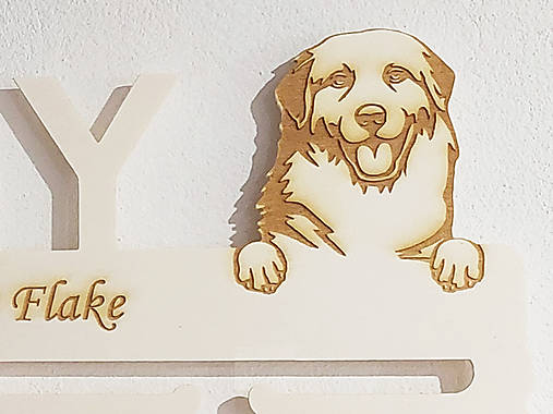 Drevený držiak na medaily s laserovaným textom 45cm psík Briard