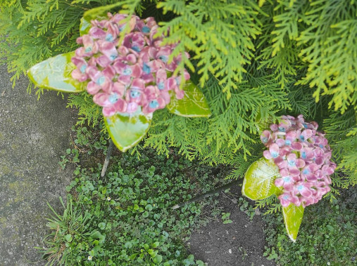 Sochy - Zápich-Hortenzia s listami - 17666557_