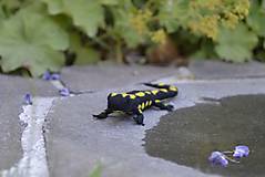 Dekorácie - Salamandra škvrnitá - 17671139_
