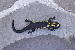 Dekorácie - Salamandra škvrnitá - 17671140_