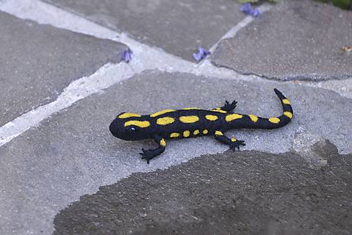 Dekorácie - Salamandra škvrnitá - 17671138_